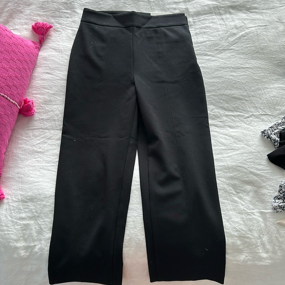 Ann Taylor pants
